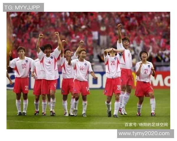 韩国足球明星的辉煌历程与影响力解析