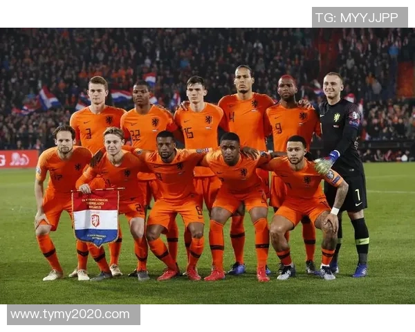 北爱尔兰与荷兰足球赛前瞻及胜负预测分析