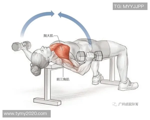 全面提升身体素质的瑜伽哑铃视频教程全集助你塑造完美身形